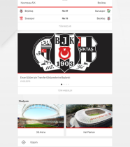 Vodafone Arena