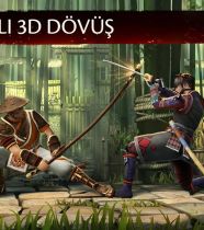 Shadow Fight 3