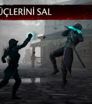 Shadow Fight 3
